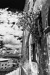 ��������, ��������� (���-��������-��-����-��-�����-��-������)