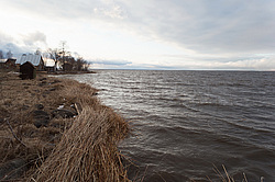 ����� ����, �����������