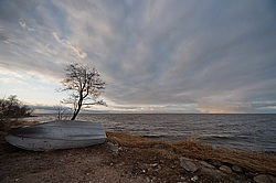 ����� ����, �����������