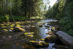 ���� ��������� �������, � ������ ��������