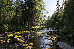 ���� ��������� �������, � ������ ��������