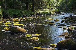 ���� ��������� �������, � ������ ��������