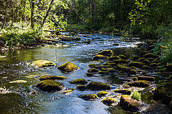 ���� ��������� �������, � ������ ��������