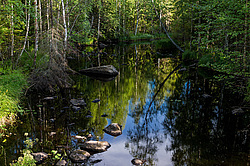 ���� ��������� �������, � ������ ��������