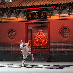 ��������� �������, ����������� �������������, �����