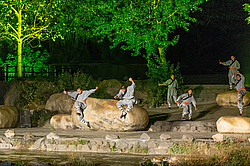 ��������� �������, ����������� �������������, �����