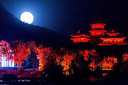 ��������� �������, ����������� �������������, �����