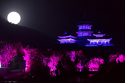 ��������� �������, ����������� �������������, �����