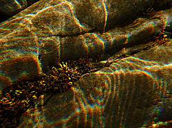 �������� �������, ��������� ������ ����. ��� ���-�������. ������ ��� �����. �� �������� ��������, ���������� �������