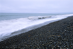 �������� ����