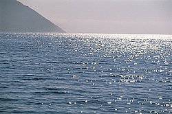 �������� ����