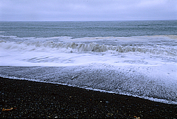 �������� ����