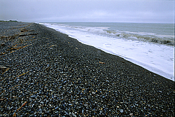 �������� ����