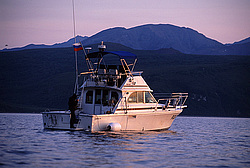 ������� ������ � �����, �������� ����