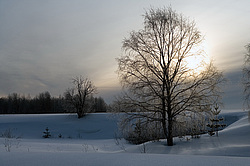 ����������� ��� ����, ����� ���������� , �������� ������� ( ����������� ������� ������������)