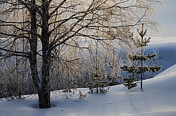 ����������� ��� ����, ����� ���������� , �������� ������� ( ����������� ������� ������������)