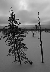 ����������� ��� ����, ����� ���������� , �������� ������� ( ����������� ������� ������������)