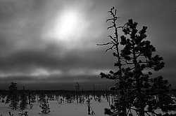 ����������� ��� ����, ����� ���������� , �������� ������� ( ����������� ������� ������������)