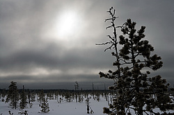 ����������� ��� ����, ����� ���������� , �������� ������� ( ����������� ������� ������������)