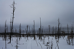 ����������� ��� ����, ����� ���������� , �������� ������� ( ����������� ������� ������������)