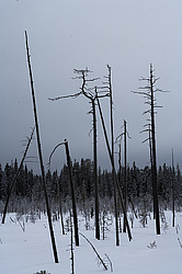 ����������� ��� ����, ����� ���������� , �������� ������� ( ����������� ������� ������������)