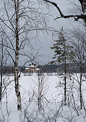 ����������� ������������ ����, ������� (������������ ���������)