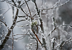 ����������� ��� ����, ����� ���������� , �������� ������� ( ����������� ������� ������������)