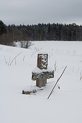 ����������� ������������ ����, ������� (������������ ���������)