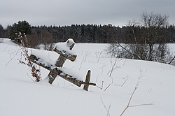 ����������� ������������ ����, ������� (������������ ���������)