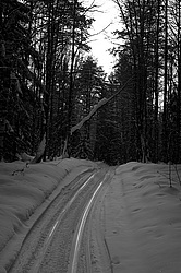 ����������� ������������ ����, ������ �� ������ �� ����������� �������