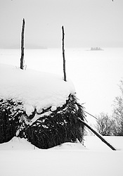 ��������, ������� �������, ����� � ��� �� ���������