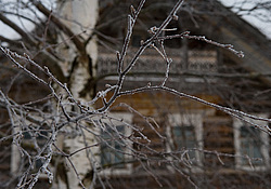 ��������, ������� ���������, ���� ����