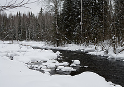 ����������� ������������ ����, ���� ��������