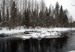 ����������� ������������ ����, ���� ��������