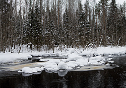 ����������� ������������ ����, ���� ��������