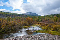 ���� �������, ��������� ����, ���������� �������, ������, � ����������� ������������ ���������