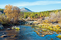 ���� �������, ��������� ����, ���������� �������, ������, ������ � ����