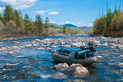 �������� ���� ����� (������ ���), ��������� ����, ���������� �������, ������, 