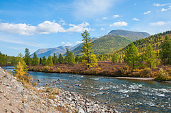 ���� ����� (������ ���), ��������� ����, ���������� �������, ������, ������ ������ � �����