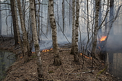 ���� ���, ��������� �������. �������� ����� �� ����. ����� �� ������ ���