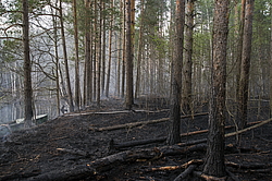 ���� ���, ��������� �������. �������� ����� �� ����. ���� ������� ������� ��������