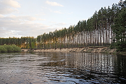 ���� ���, ��������� �������. �������� ����� �� ����. ����������� ������� ������