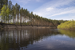 ���� ���, ��������� �������. �������� ����� �� ����. ����������� ����� - ������ �������