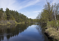 ���� ���, ��������� �������. �������� ����� �� ����. �� ������ ������� ����