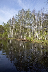 ���� ���, ��������� �������. �������� ����� �� ����. ����� �����, ������� ����������������