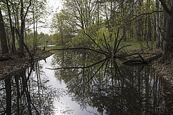 ���� ���, ��������� �������. �������� ����� �� ����. � ��������� �������