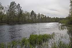 ���� ���, ��������� �������. �������� ����� �� ����. � ������������� �����