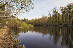 ���� ���, ��������� �������. �������� ����� �� ����. ����� ���� � ���� �����