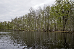 ���� ���, ��������� �������. �������� ����� �� ����. ������������� �����