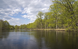 ���� ���, ��������� �������. �������� ����� �� ����. 